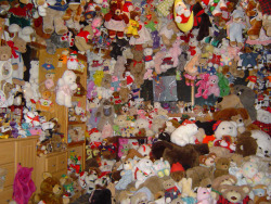 rooshoes:  my room  replace the teddies with