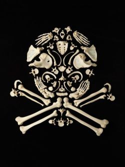 thingsorganizedneatly:  “Skull and Crossbones/ Stop the Violence,” by Francois Robert  kind of creepy, i must say.