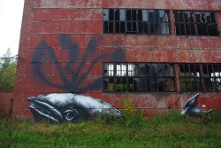 Loveyourchaos:  (By Roa !) 