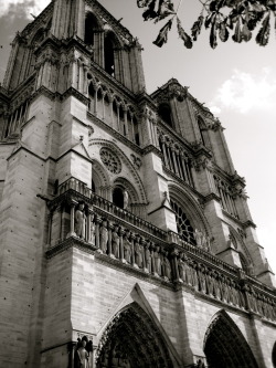 mistiquecherie:  Notre Dame, Paris. Picture