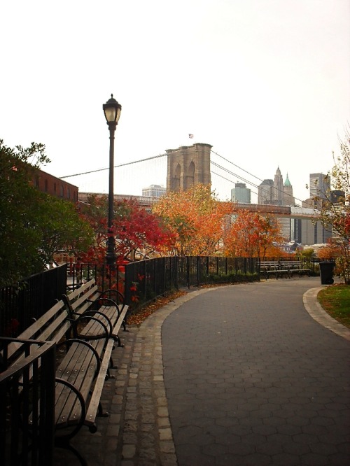 Porn Pics nythroughthelens:  Autumn. Brooklyn Bridge
