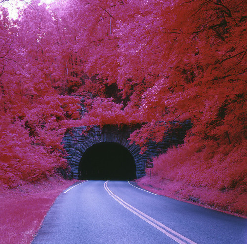 Tanbark Ridge Tunnel (by oldoinyo)