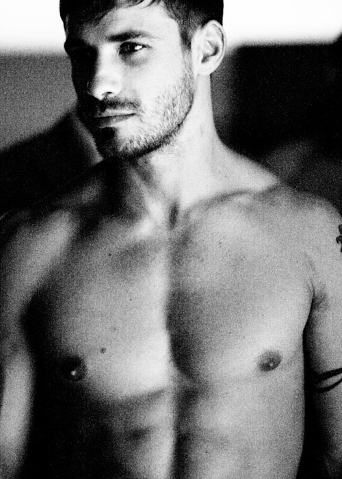 Principe Timido