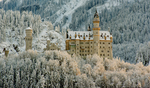 wanderingtraveller:  Neuschwanstein Castle, adult photos