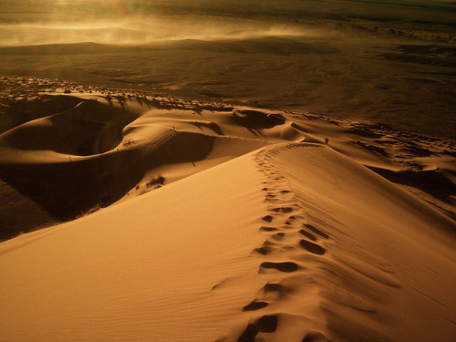 Namib Desert, Namibia, Africa©  Thomas Pyttel