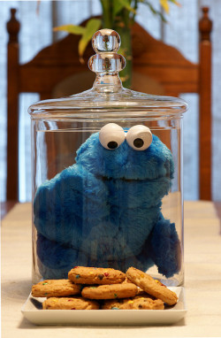 iaminloveagain:  Omggg the cookie monster is in it!! :P 