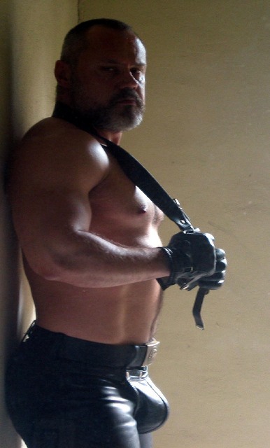 StelviObeaR