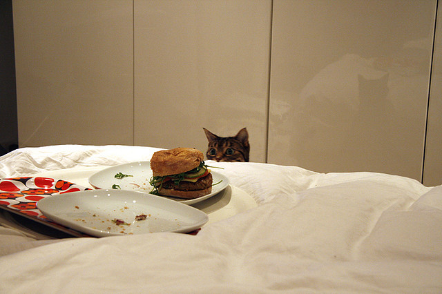 mreames:  dreamcats: (famapa) 