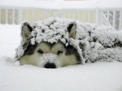 blaqkheaven:  heresherstory:  This put the biggest smile on my face. &lt;3  KYOOOOOOOOOOOOOOOT