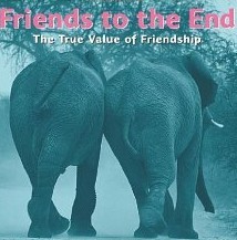 Miends Midlife Friends
When you hit 50, you tend to look around and assess a bit. Like, where is this thing going? The “thing” could be your marriage, could be money, could be the novel you have never written, or- your friends. Or the lack...