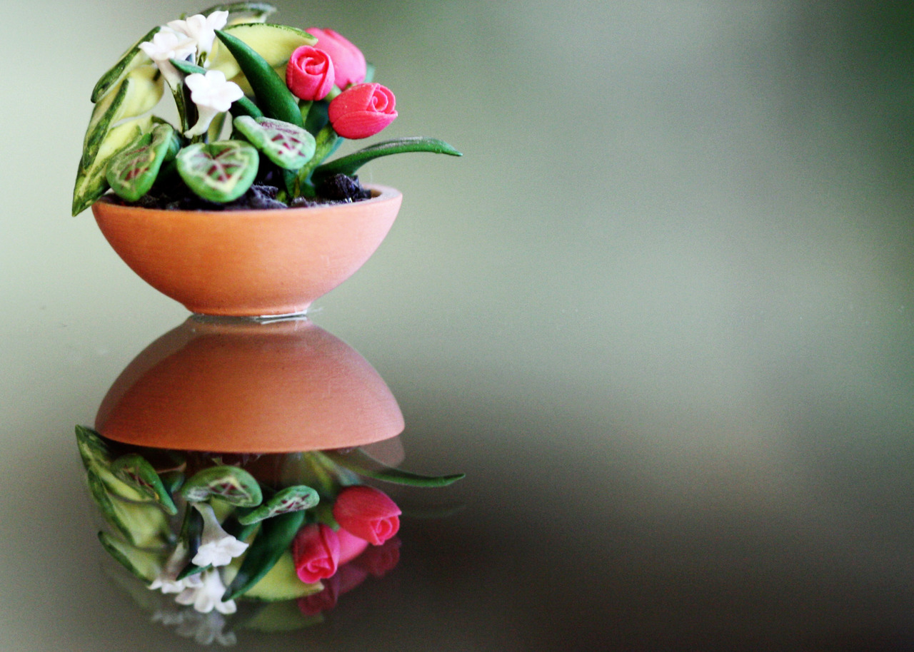 marjoree:  macro! The lens sees better than I ever did. This little flowerpot, sitting