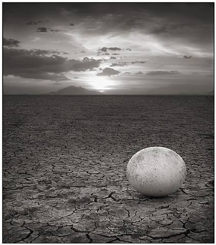 luzfosca:  Nick Brandt Abandoned Ostrich Egg Amboseli 2007 via 