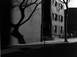 luzfosca:  Ray K. Metzker via 