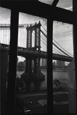 stravinskee:  brooklyn bridge from the studio