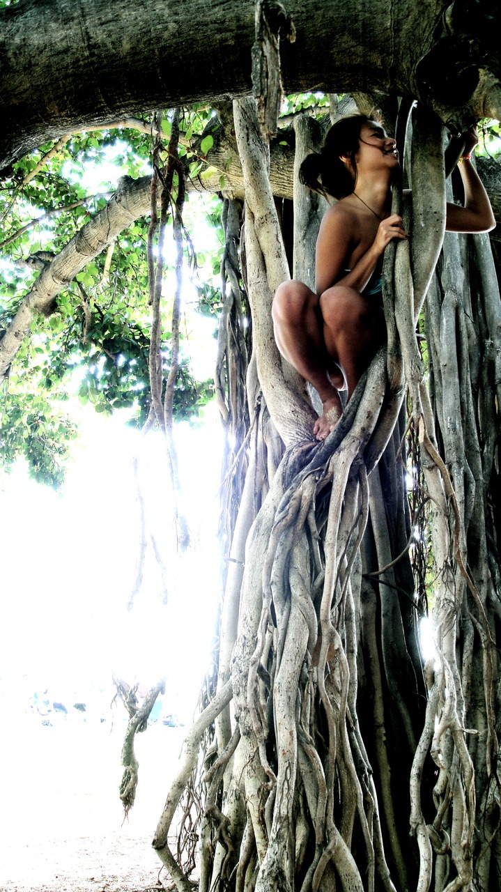 t-i-lt:  Cindy Cai climbing some trees.