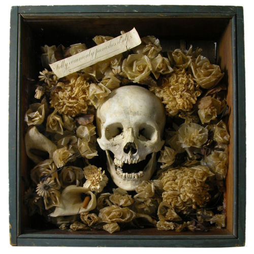 mothtales:  Skull and flowers Momento Mori