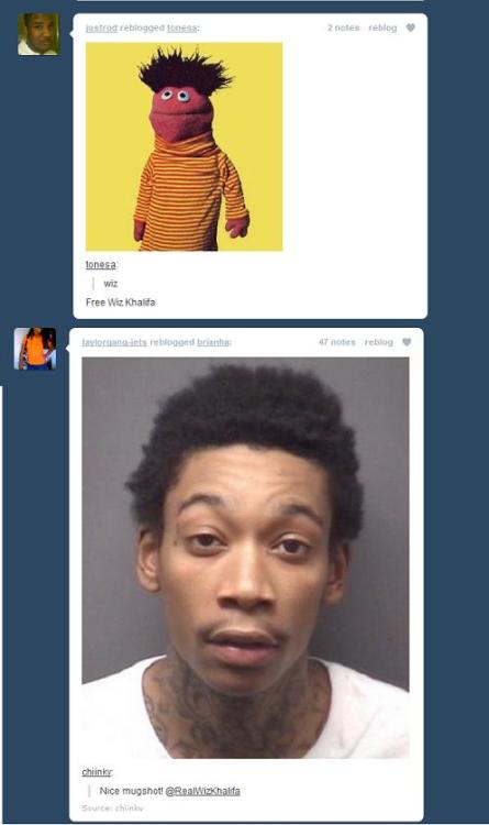 modelspopbottles:lmaolmao comedy