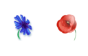 remembrance day flowers from french google on the left, and UK google on the right. So lovely :&rsquo;)