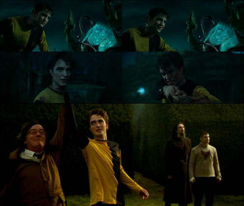 fuckyeahburrow:  voldemortoutbitches:  Top 5 favorite Harry Potter Characters Number