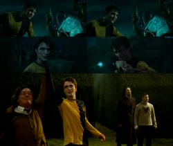 fuckyeahburrow:  voldemortoutbitches:  Top 5 favorite Harry Potter Characters Number 5: Cedric Diggory He gets overlooked. To most of the fandom, he’s nothing more than a spare, a finder, and the center of Twilight jokes. Poor Cedric. We forget that