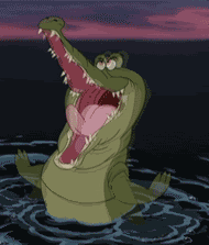 I THINK IT'S TIME FOR ANOTHER ~REBLOG WITH 13TH GIF IN YOUR FOLDER~