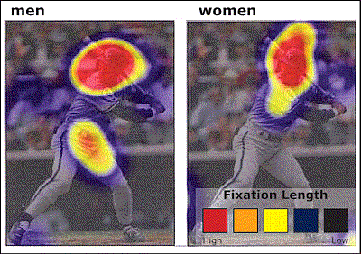 knucklesandgyros: This is a visual map of what men and women tend to focus on. And apparently, men l