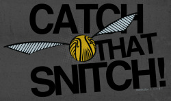 marauder-:  Catch that snitch! 