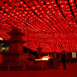 theworldwelivein:  Red Roof | Gangnam-gu, Bongeunsa, Seoul, Korea, Asia©  黒忍者 