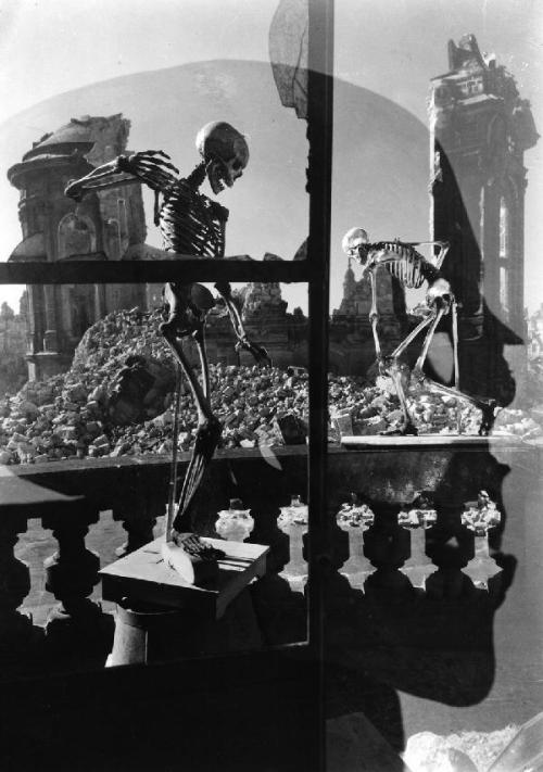 billyjane:  Tod über Dresden - Blick über Skelett vom Anatomiesaal der Kunstakademie auf T