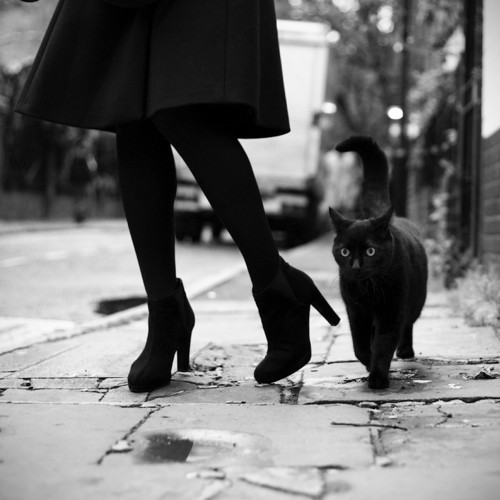 subdub - adorechic - recently added on we heart it - 500px /...