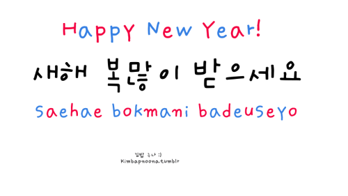 kimbapnoona:  *again requested by pullthetriggerandricochet  Happy New Year everybody :D  Hope you a
