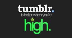      stonerparty:  mateointox:welovemarijuana  I don’t get why Tumblr is becoming this huge “OMG I LOVE MARIJUANA” website. When did this happen and am I the only one who see’s it?! My dashboard has been nothing but POT GREEN MARIJUANA WEED; whatever