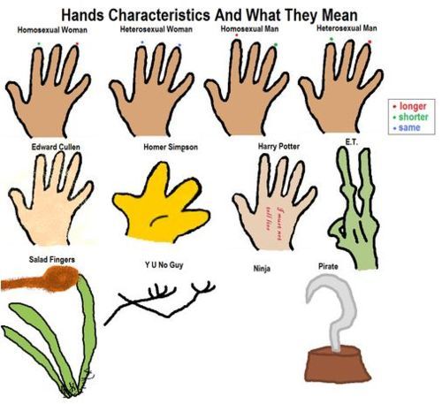 Random Fact of the DAY: Hand Characteristics 