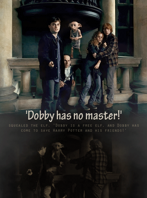 Porn dasmasmorras:  Dobby has NO MASTER! Dobby photos
