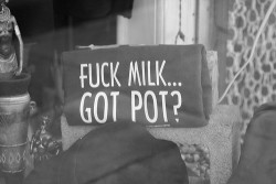 xxx tumblr