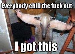 Do anteaters just hang out making poses like