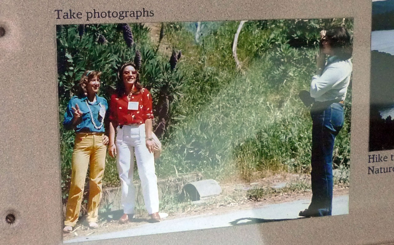 Things to do at Angel Island, from the Visitor Center:
Take photographs. Wear yellow pants. Pretend to be Japanese. Pee in the bushes. Check each other for ticks.