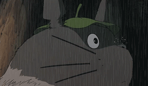 Skeptical Totoro is skeptical.