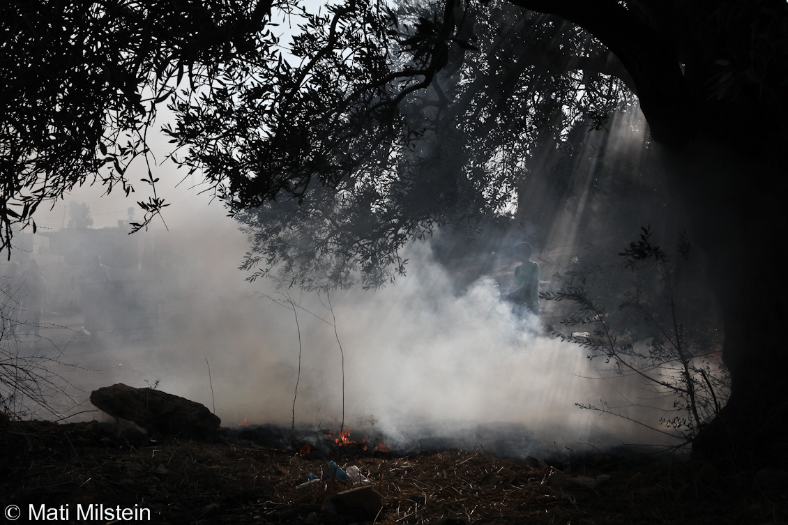 Mortal Kombat
“ A Palestinian boy attempts to extinguish a brush fire ignited when Israeli troops opened fire on an olive tree with tear gas grenades during a protest in the West Bank.
”