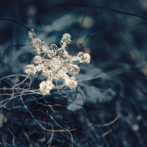 Winter jewelry