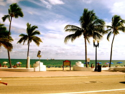 xmoonbeambutterfly:  saragabriela:  westeastsouthnorth:  Fort Lauderdale, Florida  It’s so fucking awesome that I live there. RIGHT THERE? Like a few streets away, just living my whole life in paradise. I’m very lucky.  Home. 
