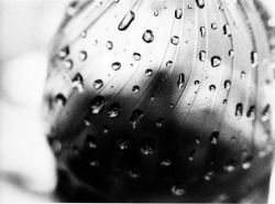 black-and-white:  rain in a bottle 