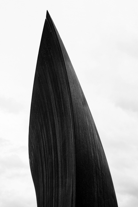 XXX Richard Serra photo