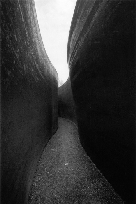 Richard Serra