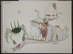 eatsleepdraw:  Deep sea creatures. -The Doodlebook