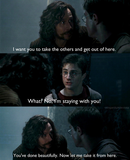 ittasteslikegoblinpiss:  siriuslyawesome:  harryronhermione:  D’: OHMYGOSH. I miss Sirius. I am going to cry.  You’ve done beautifully <3 :( this part goes from badass, to cute, to unbearable  ^adfjknasdfnmjsdfg,.sdfjuergjisd’f,vmsdg Sirius is