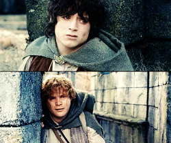 hxcfairy:  Frodo: I can’t do this, Sam. Sam: I know. It’s all wrong. By rights we shouldn’t even be here. But we are. It’s like in the great stories, Mr. Frodo. The ones that really mattered. Full of darkness and danger, they were. And sometimes