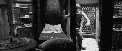 ruperts:  witch-or-not:  fav bromance right thur also, someone needs to make a gif