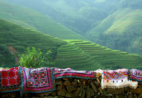 cornersoftheworld:Terraced ricefields in China