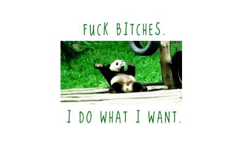 jerohhmee:  lvpnoy-ram:  Got Swag Biatch?  LMAOOOOOOOOOOOOOOOO! 